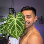 Robin Klein - @rooting4robin - Instagram
