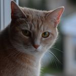 Robin Klink - @robin_hood47 - Instagram