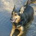 Robin Klug - Facebook