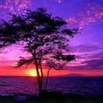 Robin Knapp - @robin50knapp - Instagram