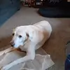 Robin Knapp - @robin.knapp6 - TikTok