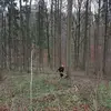 robinkneer - @robinkneer - TikTok