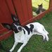 Robin Knipp - Facebook