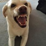 Robin Knipp - @knipp.robin - Instagram