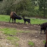 Robin Knott - @rknott415 - Instagram