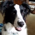 Robin Rush Knotts - @knotts5925 - Instagram