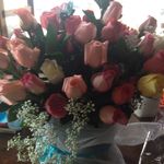 Robin Knox - @robin_knox_63 - Instagram