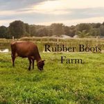 Robin Randle-Koehler - @rubber_boots_farm - Instagram