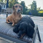Robin Bavaro (koenig) - @mommalumps - Instagram