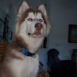 Robin Kohn - @kohnrobin - Instagram