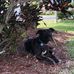 Robin Koneski - Facebook