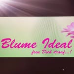 Robin Koopman - @blume_ideal - Instagram