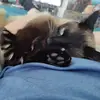 Robin Kopp - @robin.kopp - TikTok