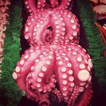 Robin Korby - @robinkorby - Instagram