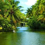 Robin Koshy Varghese - @robinj385 - Instagram