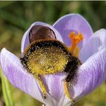 Robin Kraft Anderson - @kraftanderson - Instagram