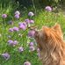 Robin Kramer - Facebook