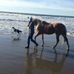 Robin Kramer - Facebook