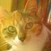 Robin Kratz - Facebook