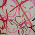 Robin Krause - @vegetarianmeatball34 - Instagram