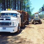 Robin krause - @krause5079 - Instagram