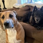 Robin Krick - Facebook