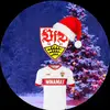 Robin - @robinkrieg - TikTok