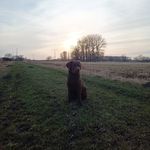 Robin Krohn - @robin.krohn - Instagram