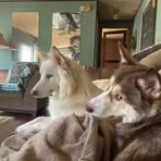 Robin Kron - Facebook
