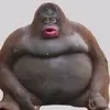 Robin Kronbichler - @robin.kronbichler - TikTok