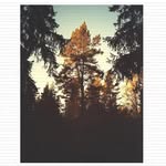 Rudolf Walker - @kropf.robin - Instagram