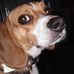 Robin Krueger - Facebook