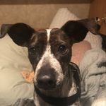 Robin Krueger - @robinlkrueger - Instagram