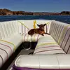 Robin Kruger949 - @robinkrug60 - TikTok