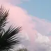 robinkrullellis - @robinkrullellis - TikTok