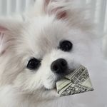 권성민 - @robin_kwon - Instagram