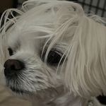 Robin Kwon - @robinkwon0525 - Instagram