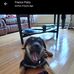 Robin Labelle - Facebook