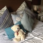 Robin Lamb - @robin.lamb - Instagram