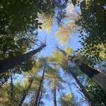 Robin Lamontagne - @lamontagne.robin - Instagram