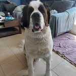 Robin Lamontagne - @lamontagne_robin - Instagram