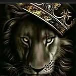@robinson.lamont - Instagram