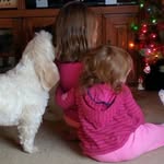 Robin Lamothe - @dopey13119 - Instagram
