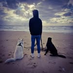 langer_robin - @langer_robin__ - Instagram