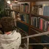 robin_laroche - @robin_laroche - TikTok