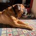 Robin LaRue Meyer - Facebook