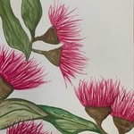 Robin Lavender - @lavenders_flowersandbirds - Instagram