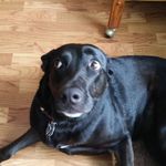 Robin Laverty - @robin.laverty - Instagram