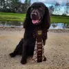 Rob Lawless - @rob.lawless79 - TikTok