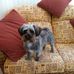 Robin Leake - Facebook